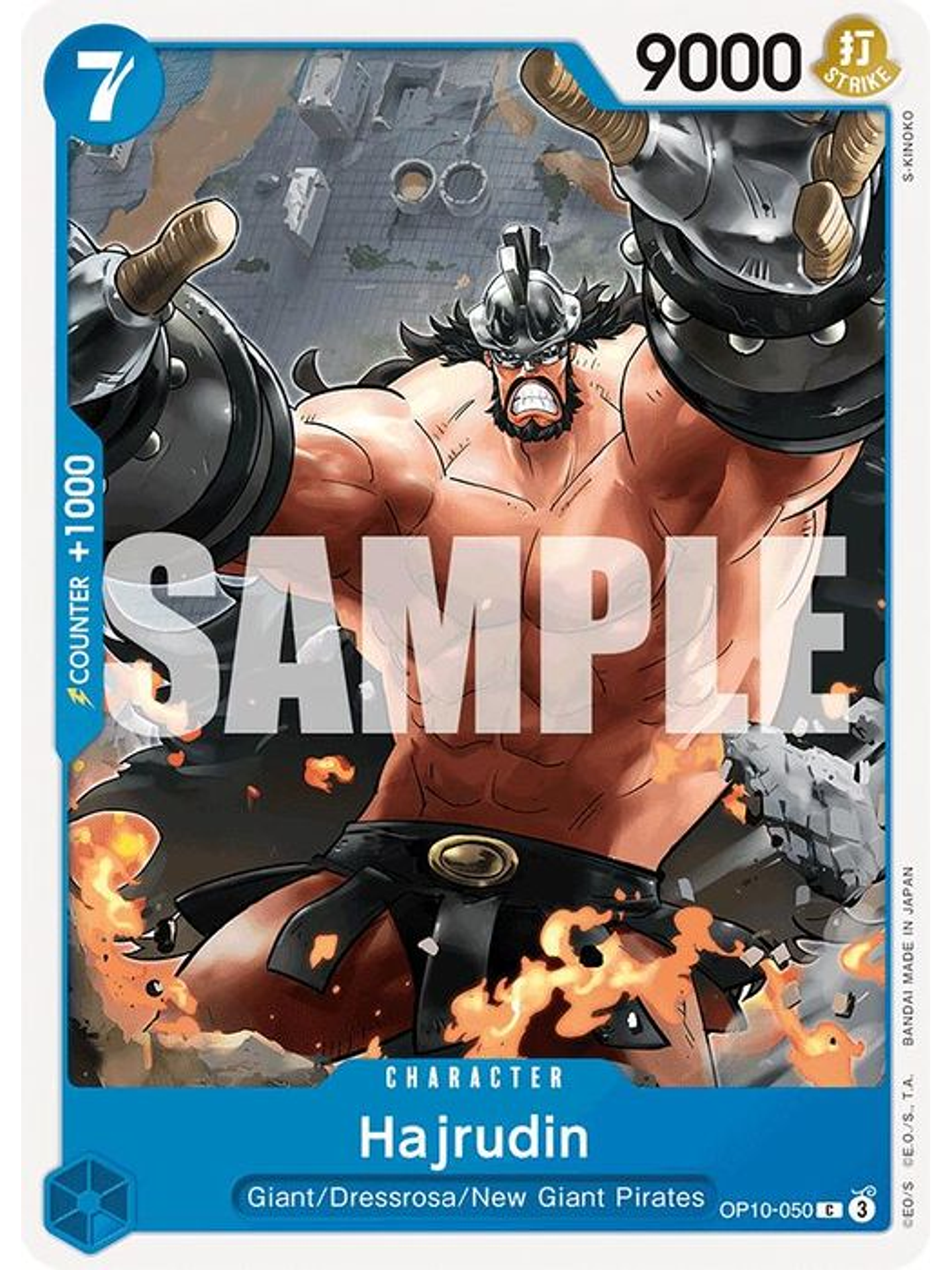 OP10-050 C Hajrudin 1