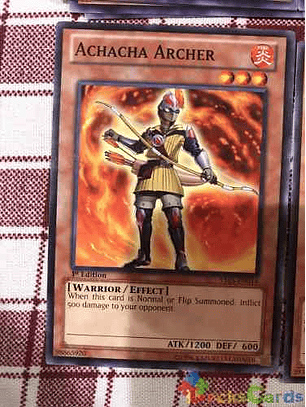 Achacha Archer - ys13-en014 - Common 1st Edition