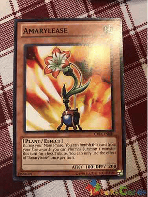 Amarylease - cblz-en004 - Common Unlimited