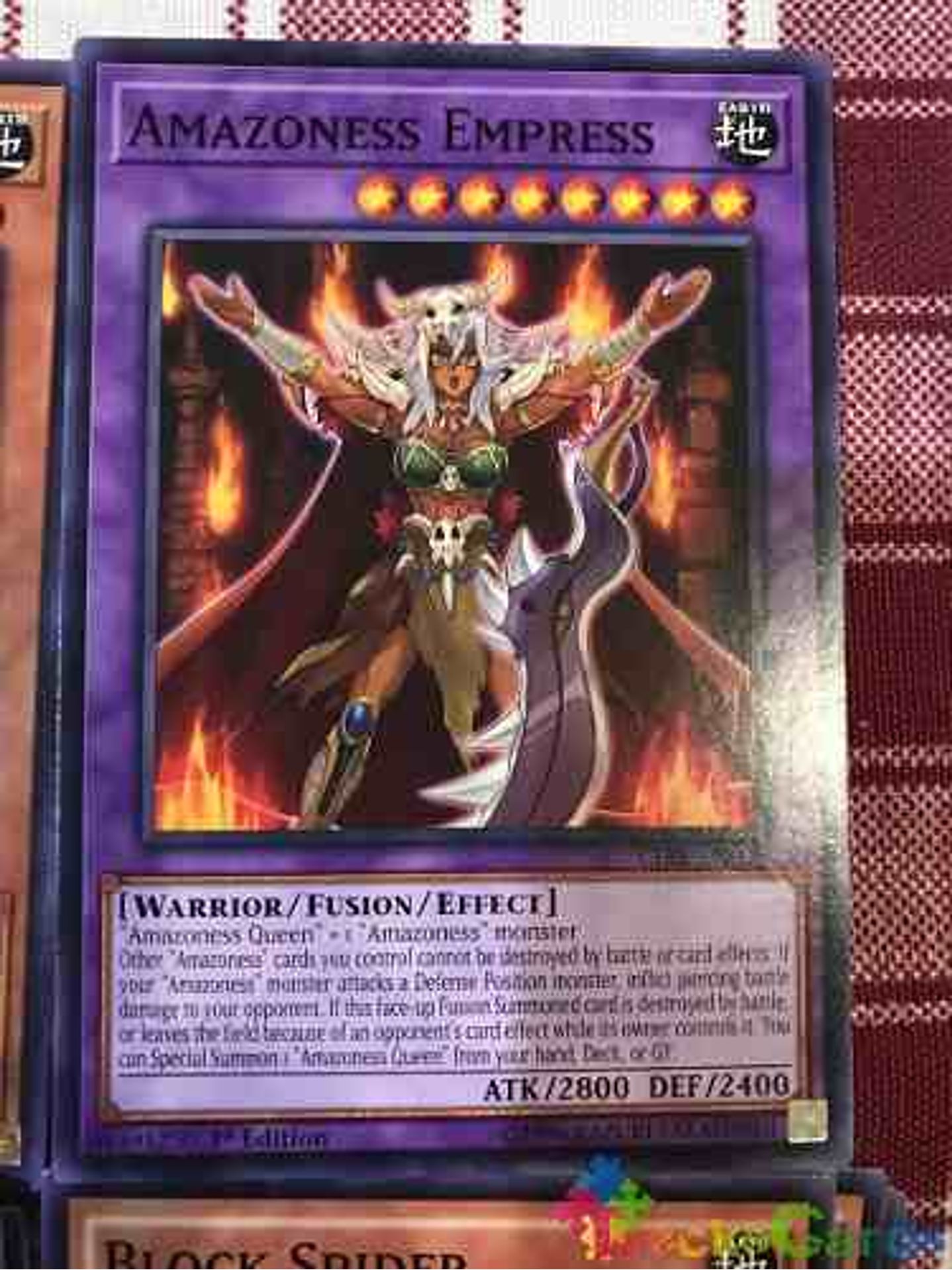 Amazoness Empress - cibr-en095 - Common 1st Edition 1