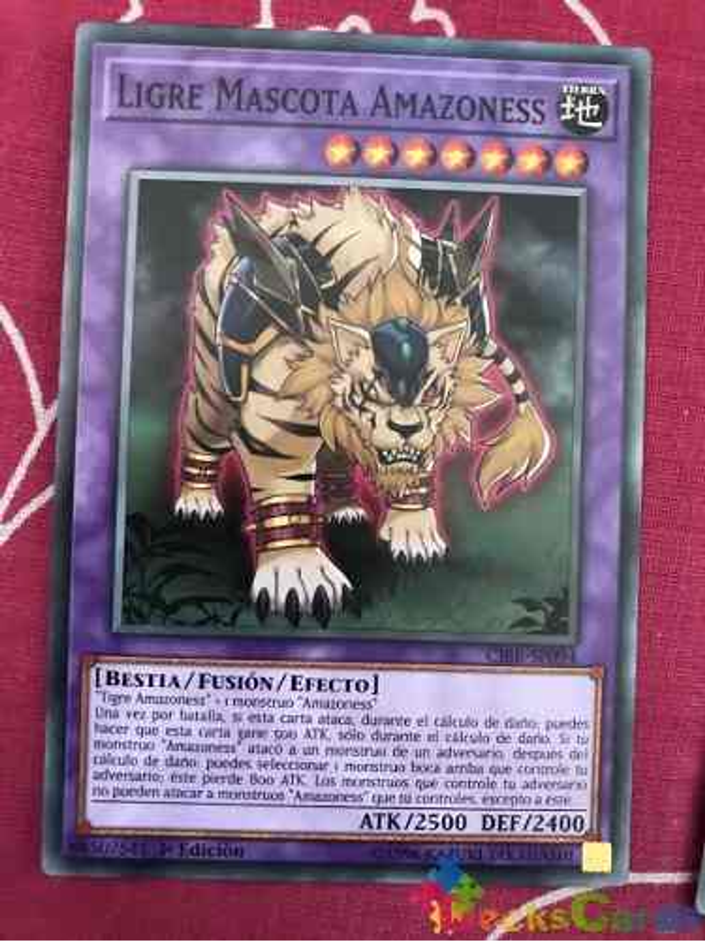 Amazoness Pet Liger - cibr-en094 - Common 1st Edition 1