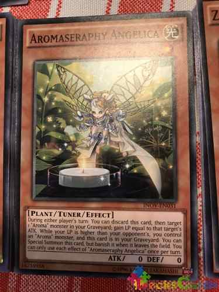 Aromaseraphy Angelica - inov-en031 - Common Unlimited 1