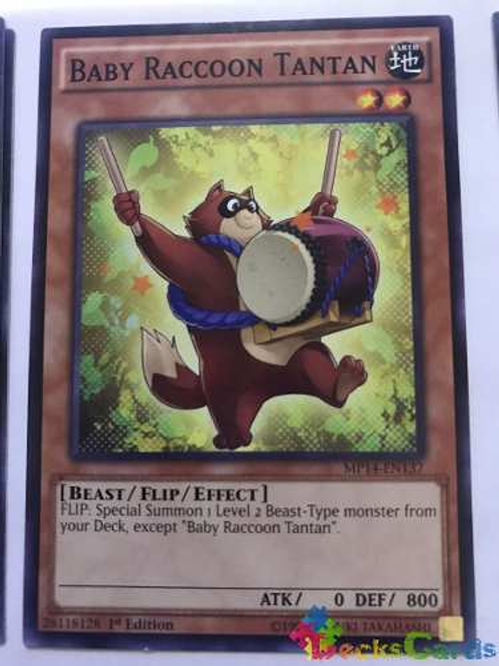 Baby Raccoon Tantan - mp14-en137 - Common 1st Edition 1