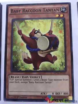 Baby Raccoon Tantan - mp14-en137 - Common 1st Edition