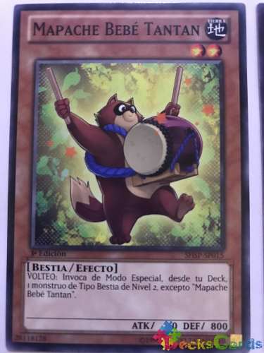 Baby Raccoon Tantan - shsp-en015 - Common 1st Edition