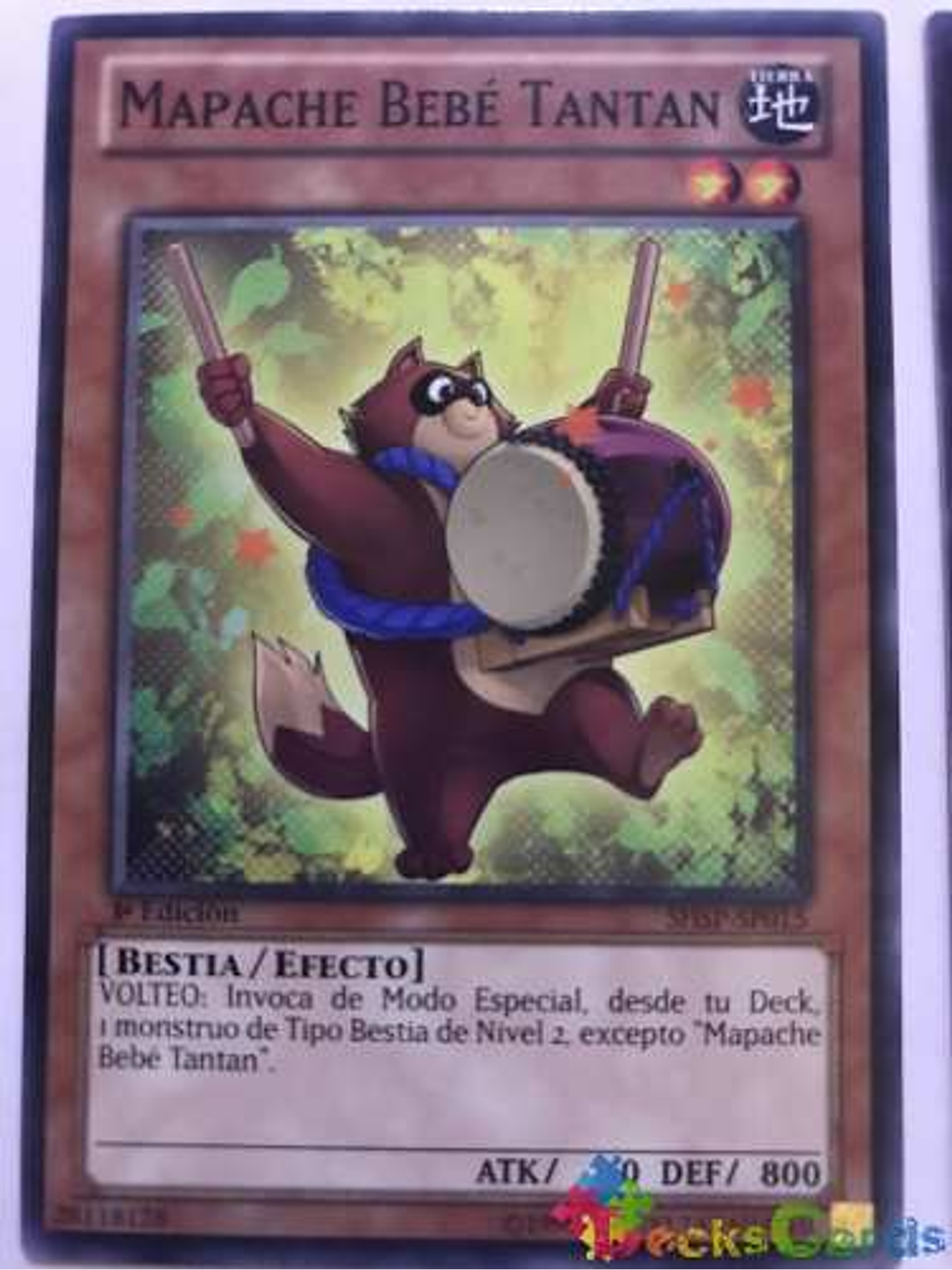Baby Raccoon Tantan - shsp-en015 - Common 1st Edition 1