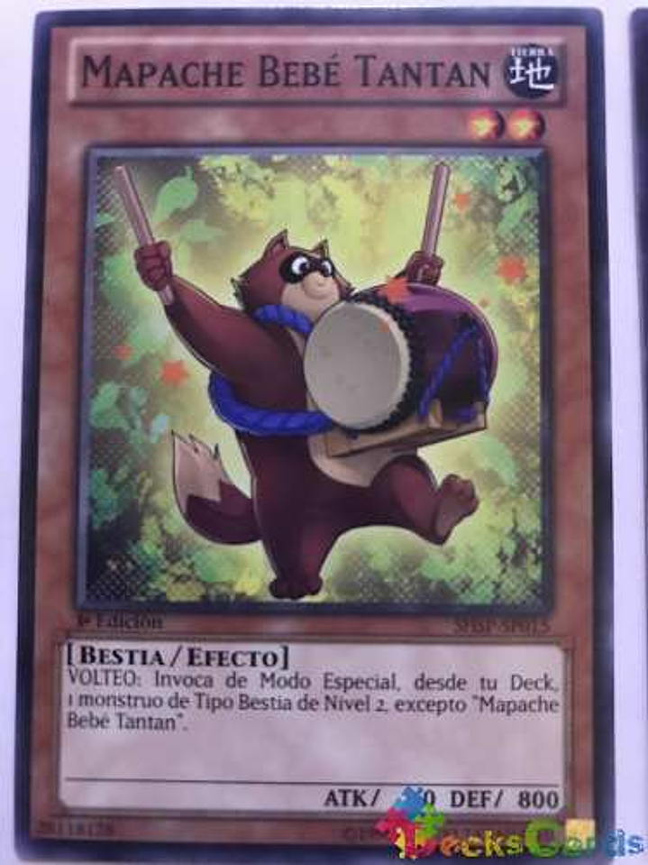 Baby Raccoon Tantan - shsp-en015 - Common 1st Edition 1