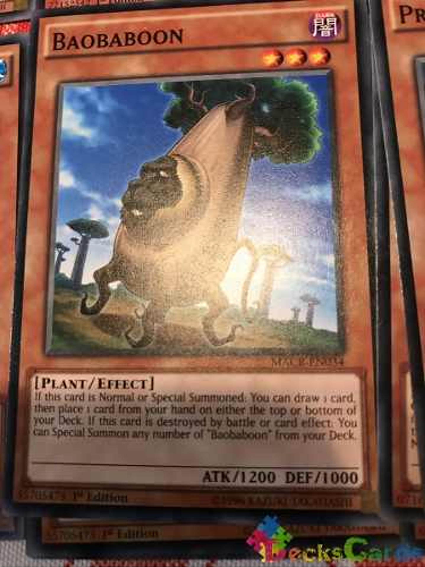 Baobaboon - macr-en034 - Common 1st Edition 1