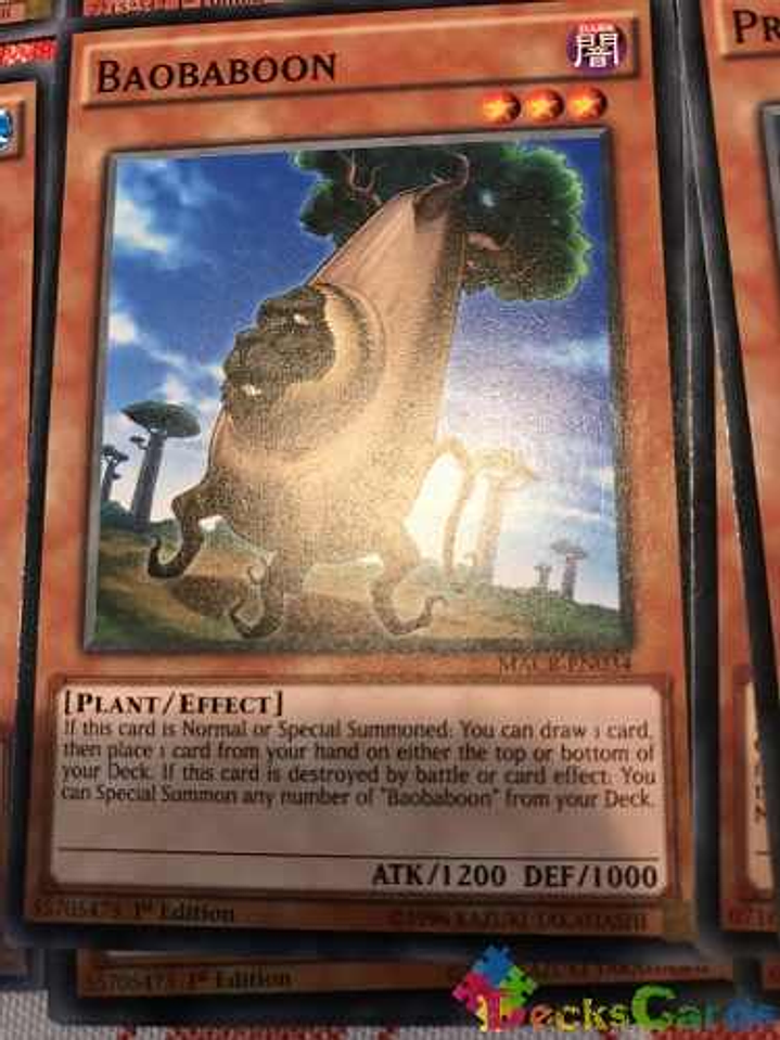 Baobaboon - macr-en034 - Common 1st Edition 1