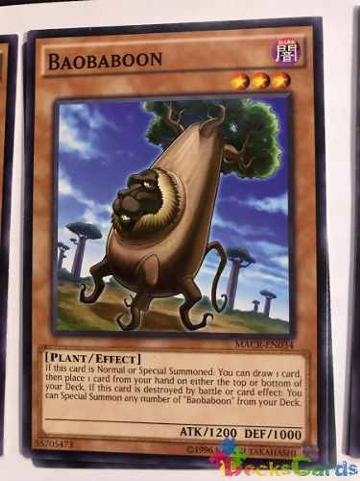 Baobaboon - macr-en034 - Common Unlimited 1