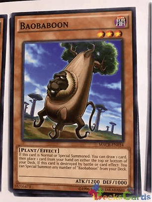 Baobaboon - macr-en034 - Common Unlimited