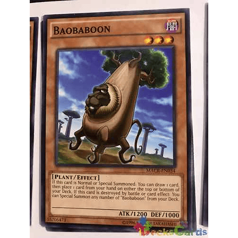 Baobaboon - macr-en034 - Common Unlimited