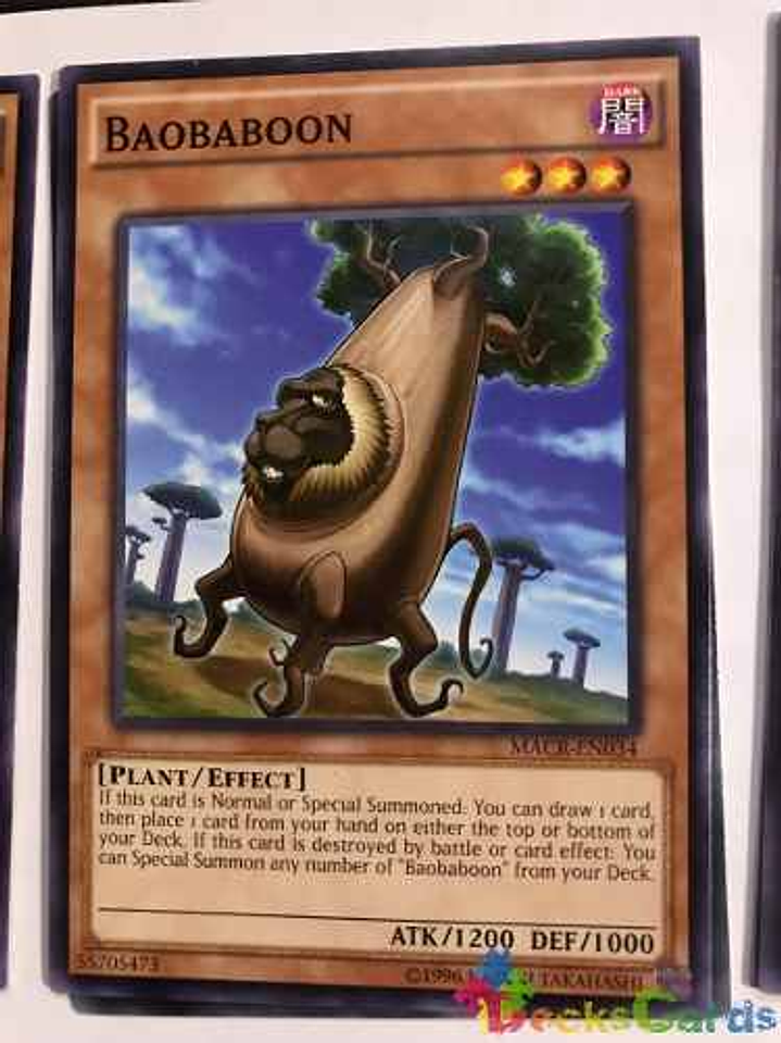 Baobaboon - macr-en034 - Common Unlimited 1