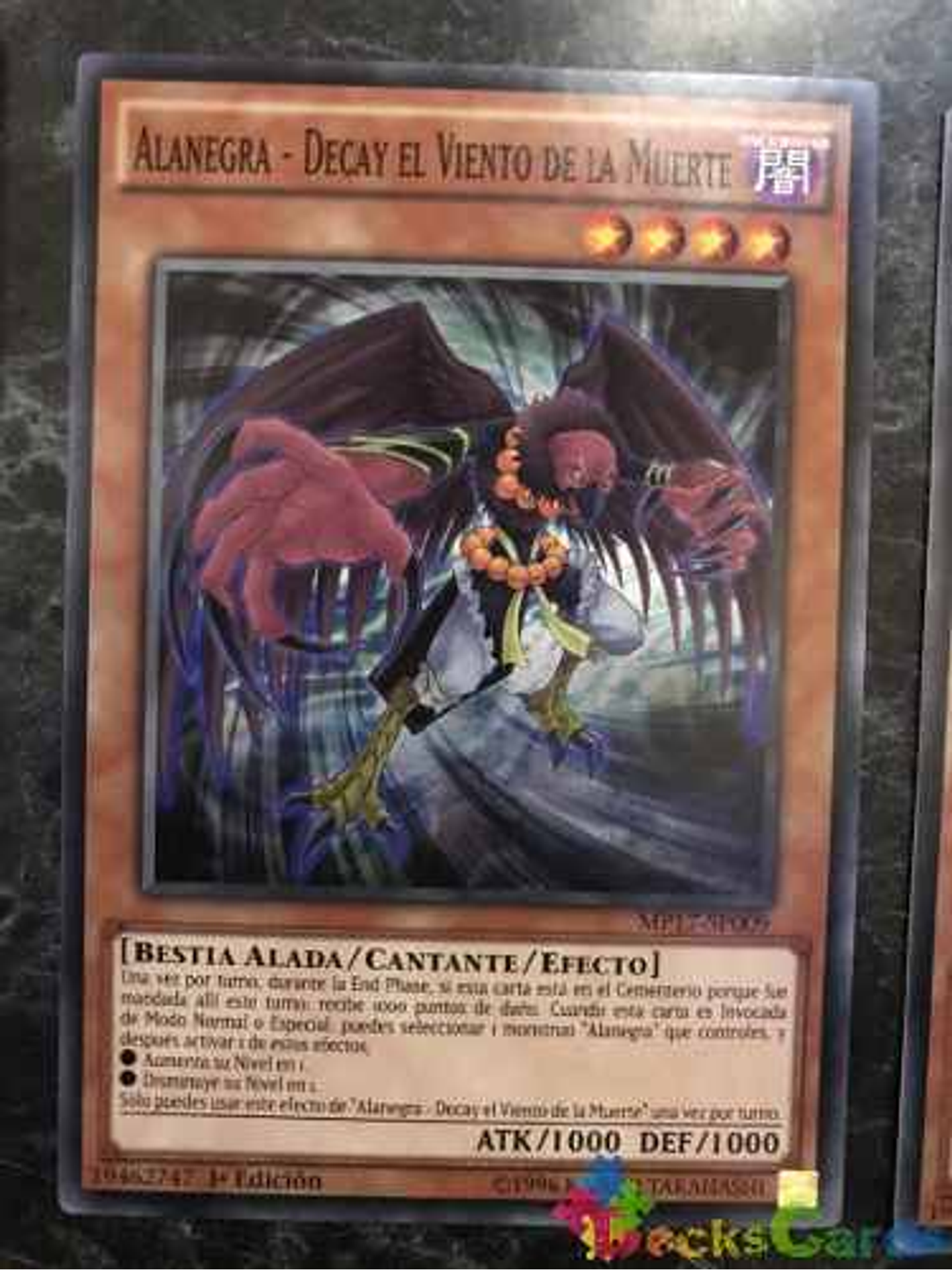 Blackwing - Decay The Ill Wind - mp17-en009 - Common 1st Edition 1