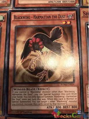 Blackwing - Harmattan The Dust - bosh-en014 - Common 1st Edition