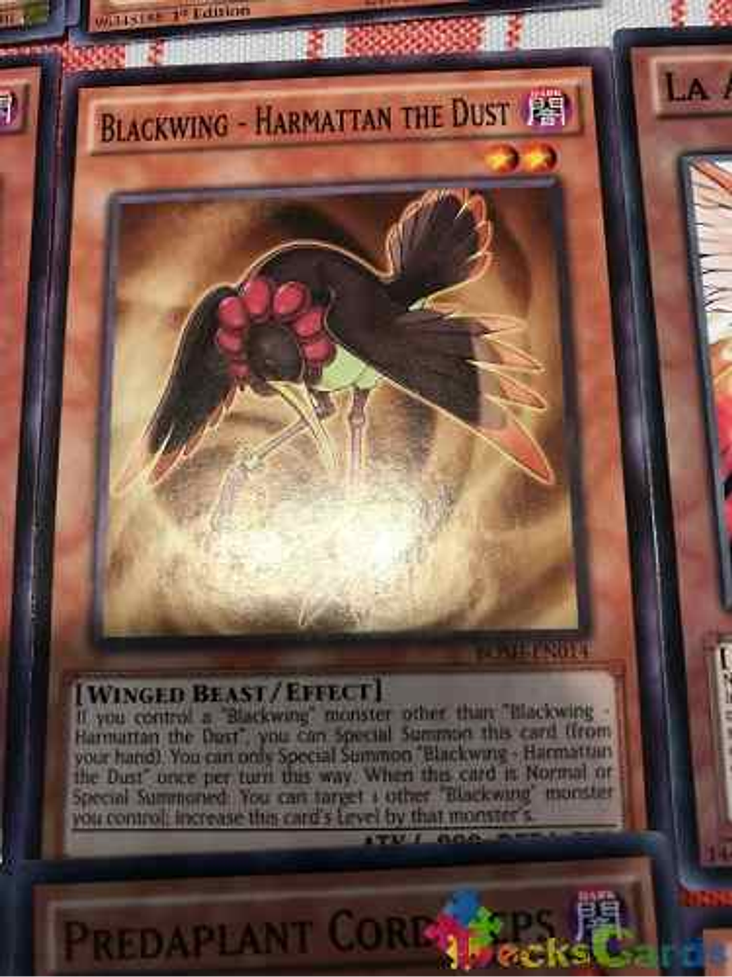 Blackwing - Harmattan The Dust - bosh-en014 - Common Unlimit 1