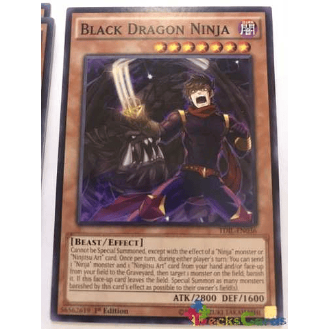 Black Dragon Ninja - tdil-en036 - Common 1st Edition