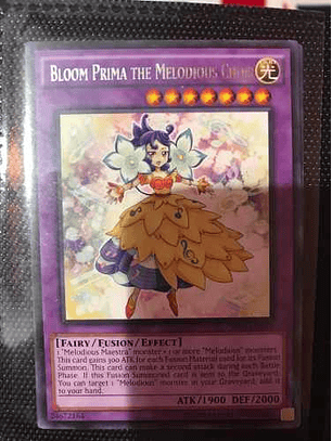 Bloom Prima The Melodious Choir - Shvi-en045 - Rare 1st Edit