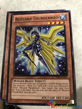 Blizzard Thunderbird - prio-en007 - Common Unlimited