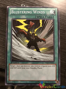 Blustering Winds - ys13-en022 - Common 1st Edition