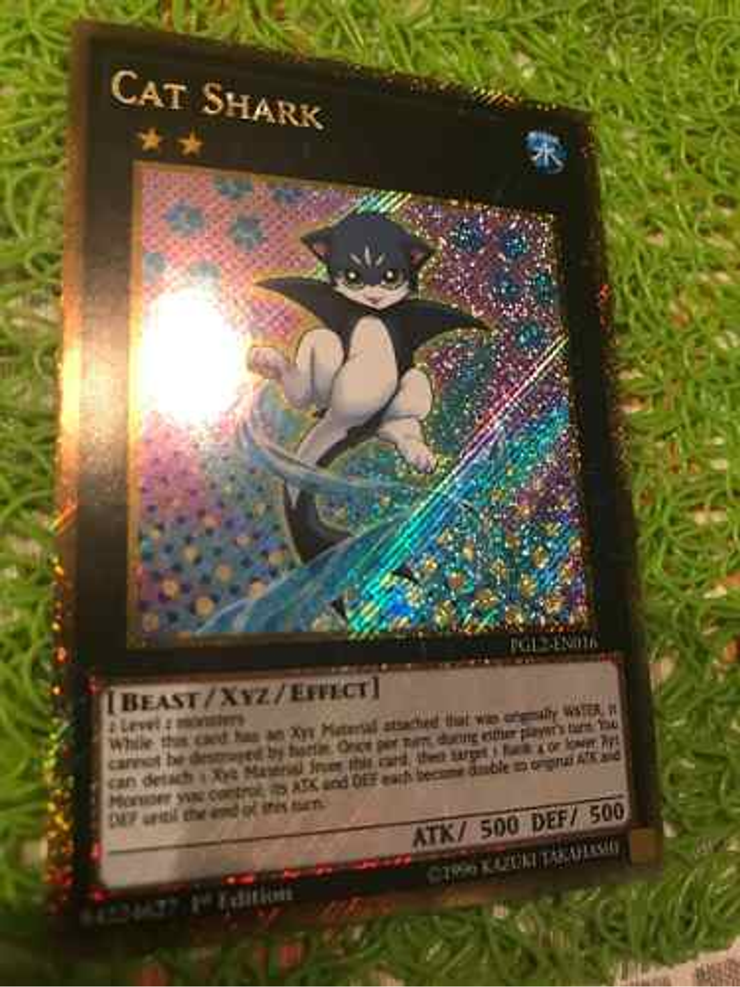 Cat Shark - pgl2-en016 - Gold Secret Rare 1st Edition 1
