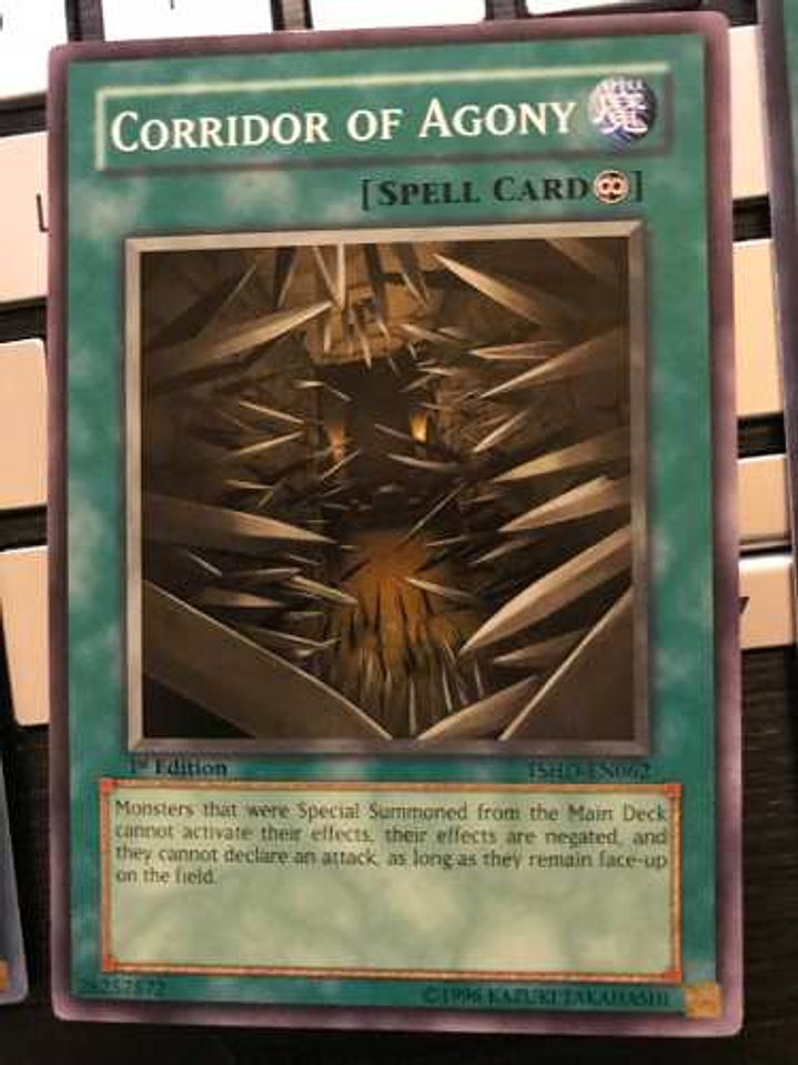 Corridor Of Agony - tshd-en062 - Common 1st Edition 1