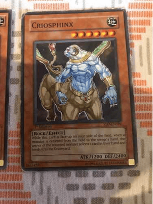 Criosphinx - sd7-en010 - Common 1st Edition