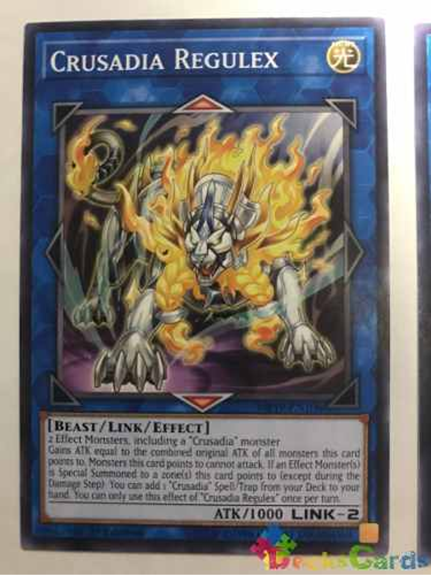 Crusadia Regulex - mp19-en106 - Common 1st Edition 1