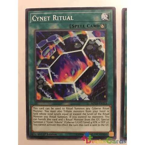 Cynet Ritual - mp19-en113 - Common 1st Edition