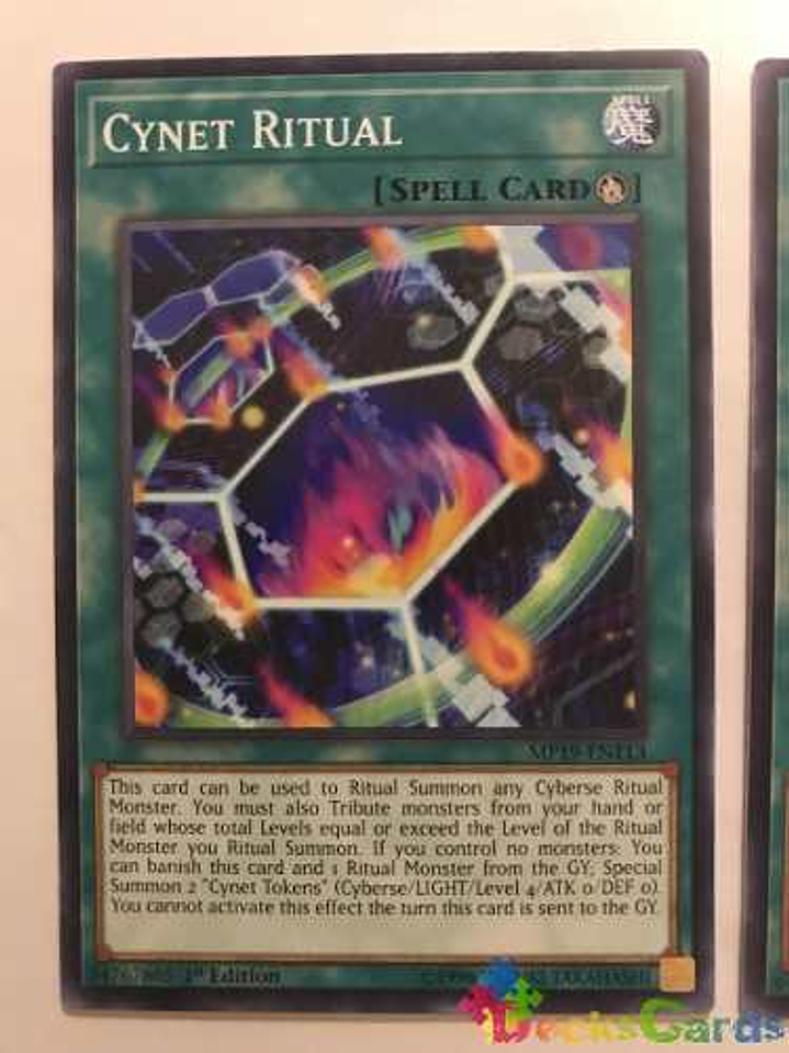 Cynet Ritual - mp19-en113 - Common 1st Edition 1