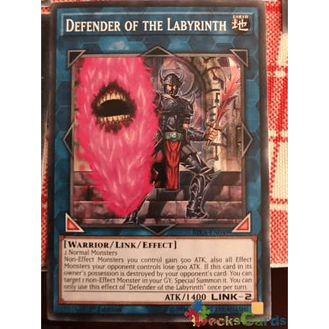 Defender Of The Labyrinth - rira-en049 - Common 1st Edition