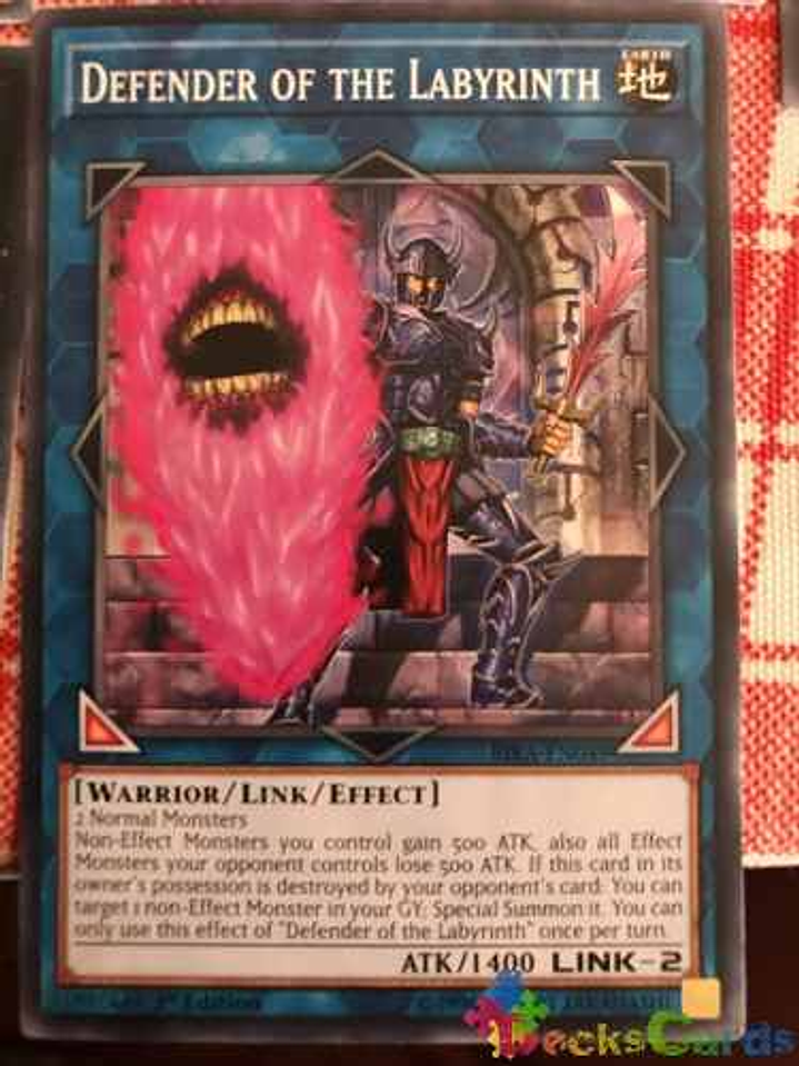 Defender Of The Labyrinth - rira-en049 - Common 1st Edition 1