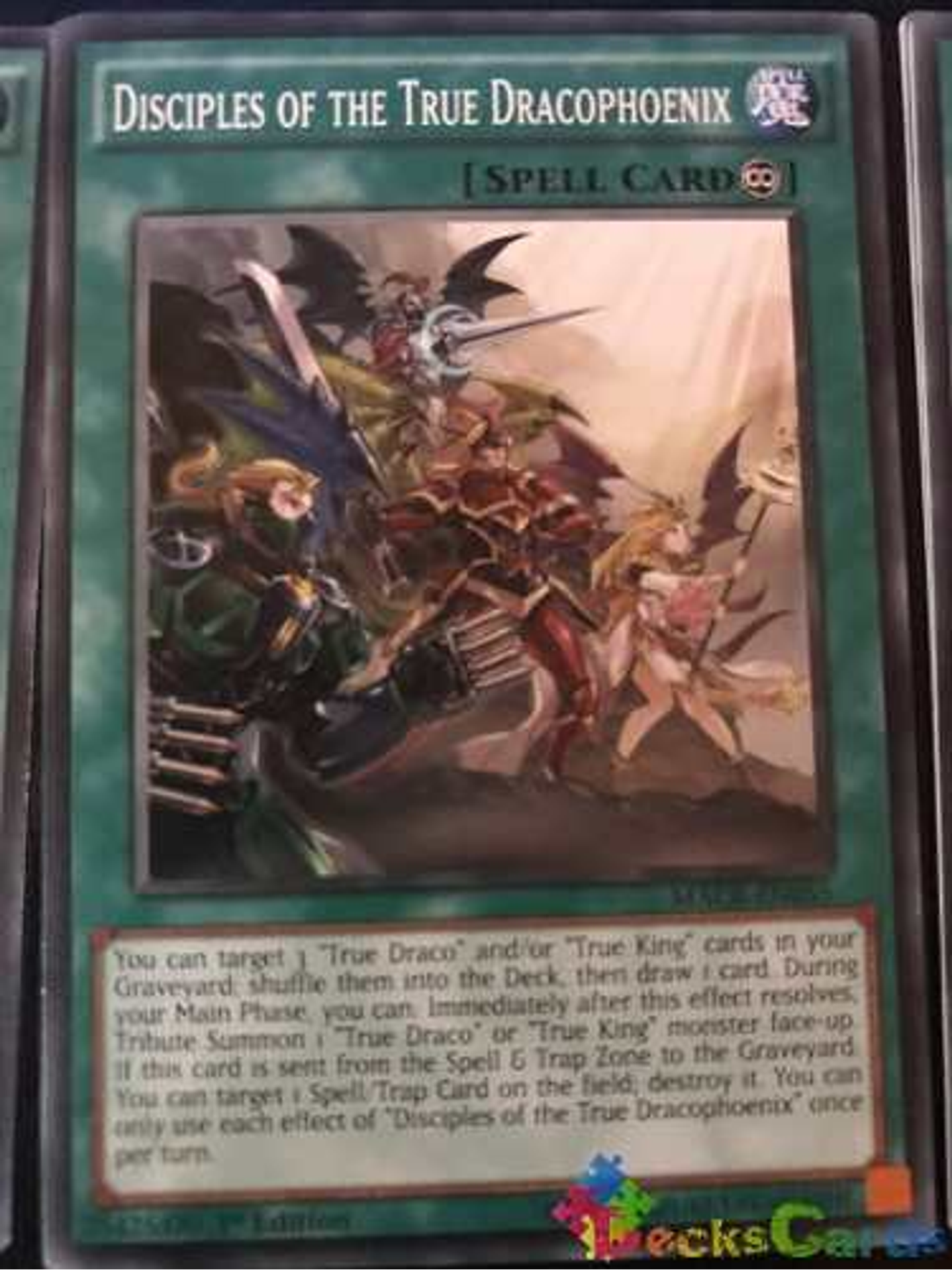 Disciples Of The True Dracophoenix - macr-en055 - Common 1st 1