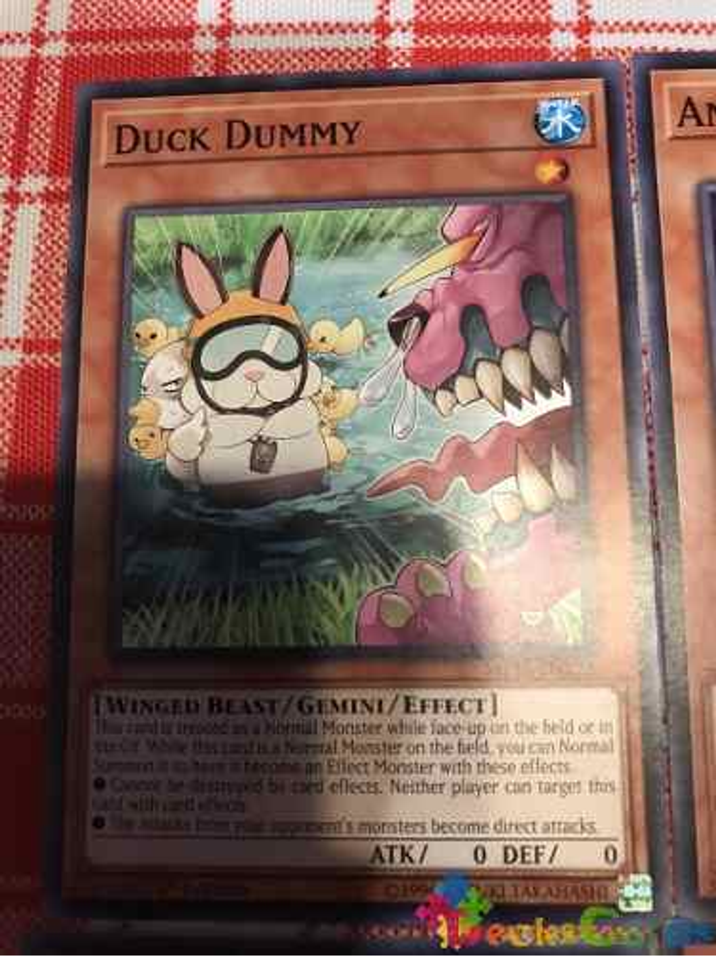 Duck Dummy - mp18-en122 - Common 1st Edition 1