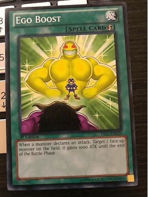 Ego Boost - ys12-en020 - Common 1st Edition