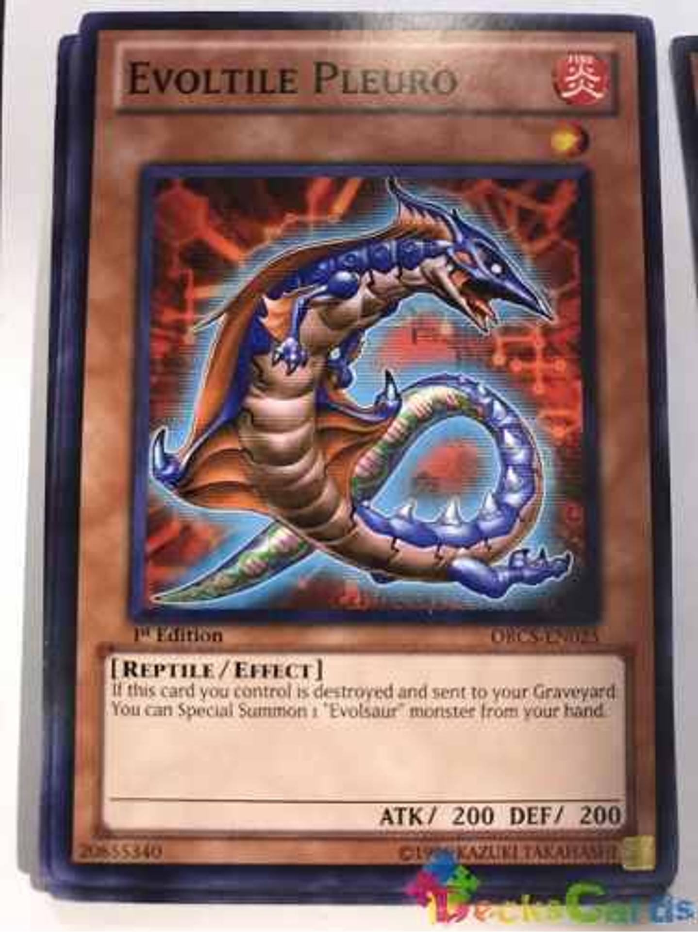 Evoltile Pleuro - orcs-en025 - Common 1st Edition 1