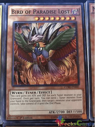 Bird of Paradise Lost - CORE-EN040 - Common 1st Edition