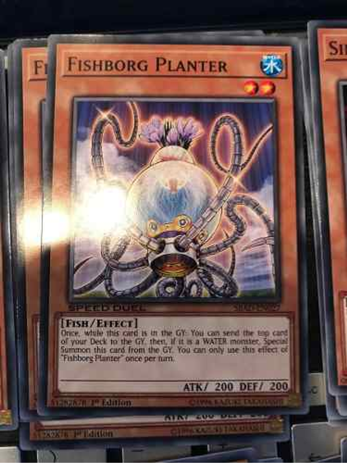 Fishborg Planter - sbad-en027 - Common 1st Edition 1