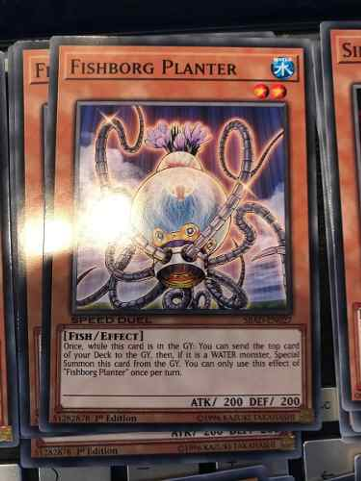 Fishborg Planter - sbad-en027 - Common 1st Edition 1