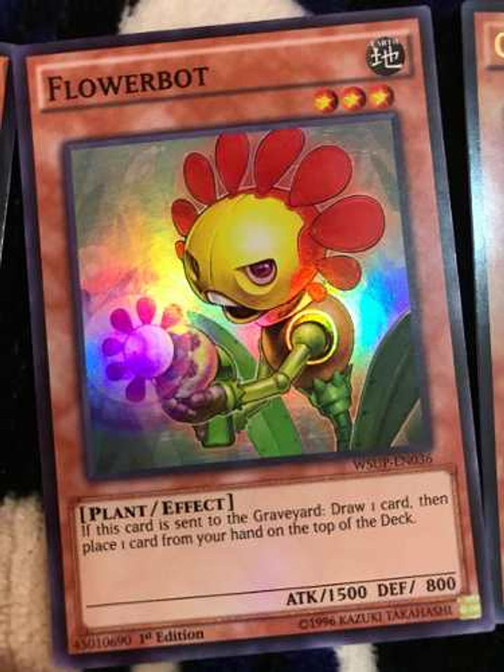 Flowerbot - wsup-en036 - Super Rare 1st Edition 1