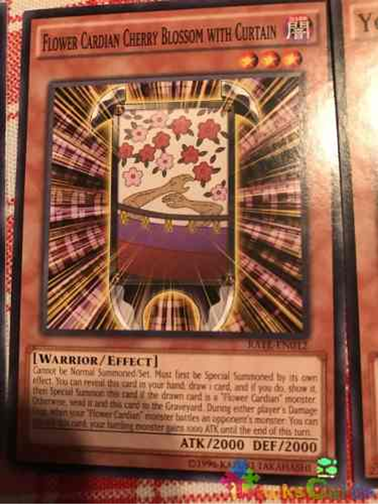 Flower Cardian Cherry Blossom With Curtain - rate-en012 - Common Unlimited 1