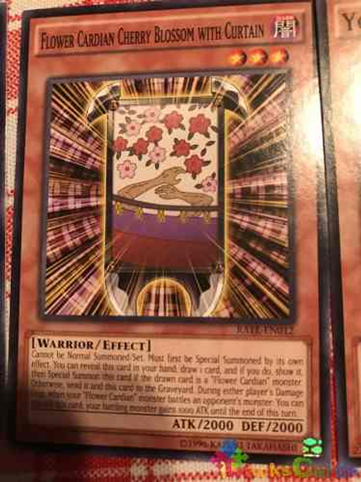 Flower Cardian Cherry Blossom With Curtain - rate-en012 - Common Unlimited 1