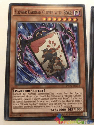 Flower Cardian Clover With Boar - inov-en012 - Common Unlimi