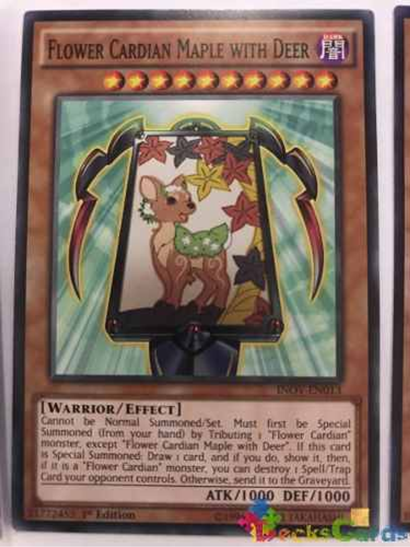 Flower Cardian Maple With Deer - inov-en013 - Common 1st Edition 2