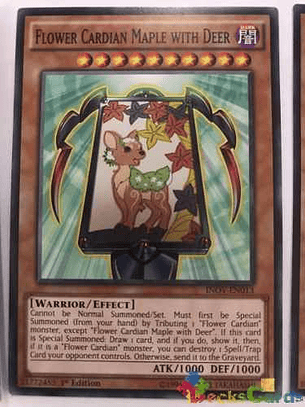 Flower Cardian Maple With Deer - inov-en013 - Common 1st Edition