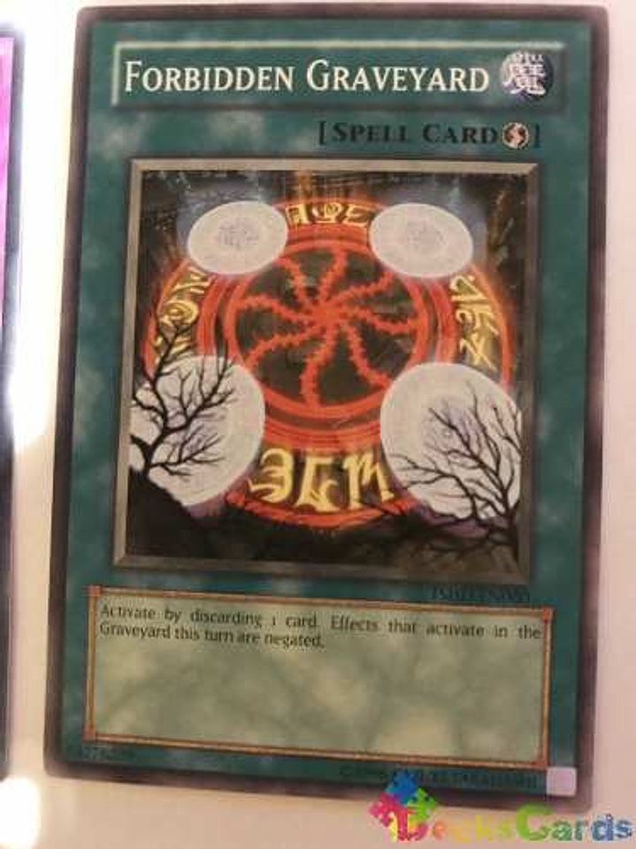 Forbidden Graveyard - tshd-en060 - Common Unlimited 1