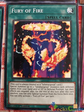 Fury Of Fire - rira-en054 - Common 1st Edition