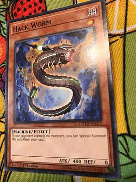 Hack Worm - cotd-en012 - Common 1st Edition