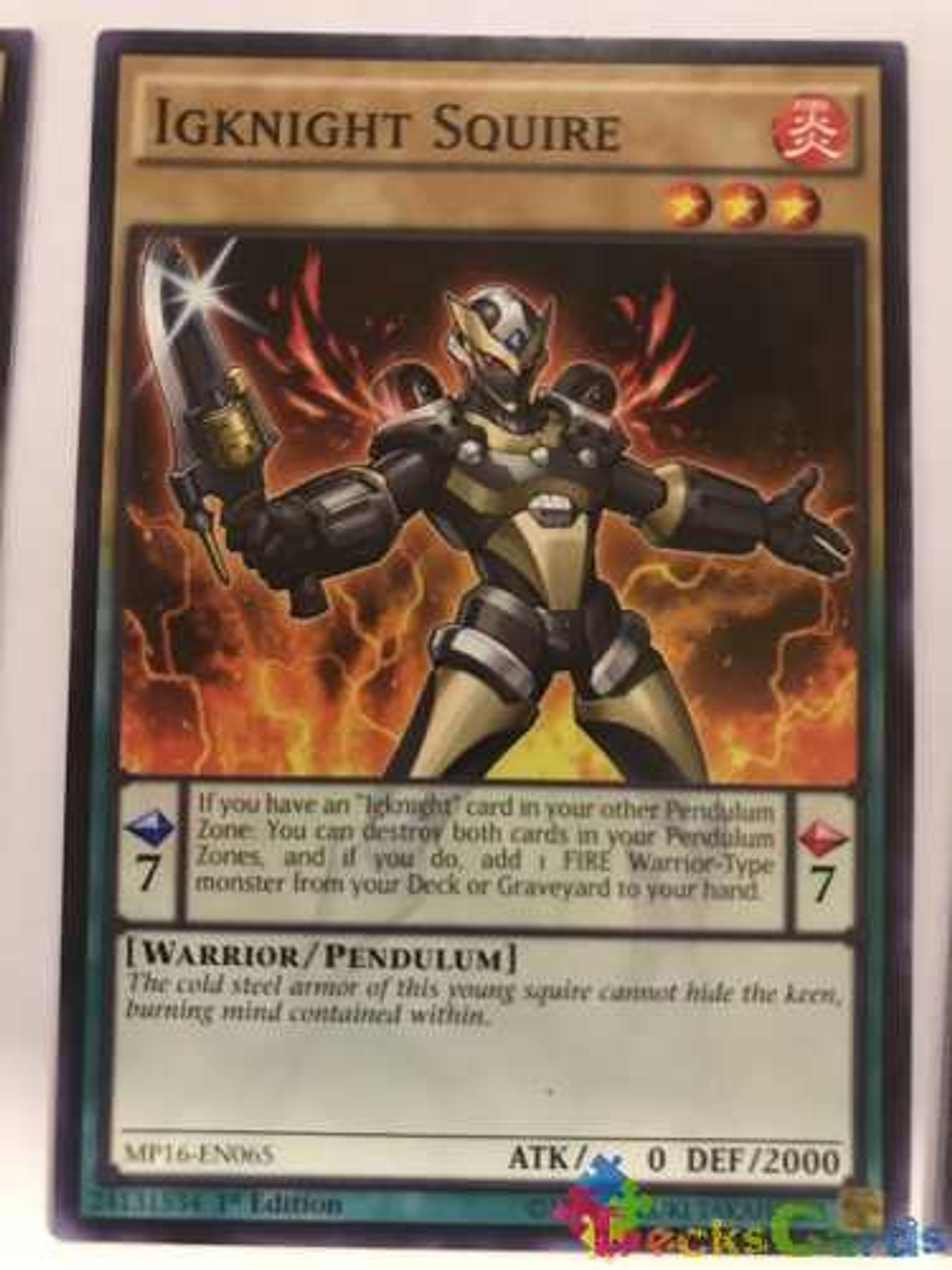 Igknight Squire - mp16-en065 - Common 1st Edition 1