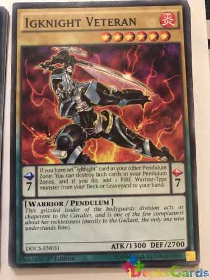 Igknight Veteran - docs-en031 - Common 1st Edition 1